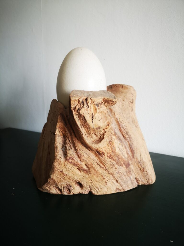EI-GENWIJS - 1987 Een echt 'outback' nandoe ei dat mijn vader uit een dierentuin had gehaald om uit te broeden. Dit was niet gelukt. Heb er toen een ei-gen stijl 'eierdop' voor gemaakt van een stronk hout. Het ei bevat nog een verdroogd binnenste - in welk stadium dat weet niemand. Vintage en uniek! Materiaal: nandoe-ei en hout Afmetingen: 22 cm hoog, circa 19 cm breed.
